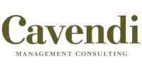 Cavendi - Management Consulting